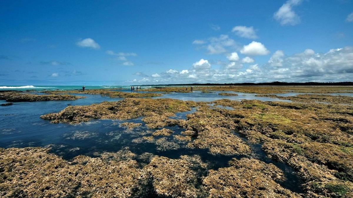 Abaetetuba Pousada São Miguel dos Milagres 외부 사진
